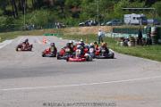 20110501_ales_agnus (2366)